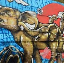 Graffiti Tour Comuna 13 con Guía Local