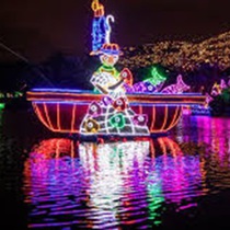 tour de Alumbrados en Medellin