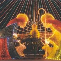 Tour alumbrados Medellin precio