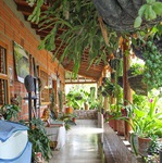 feria de las flores medellin