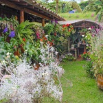 tour silleteros en santa elena