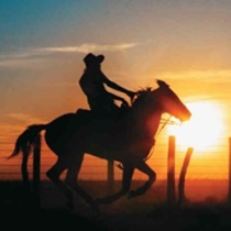 Tour llanos orientales 2026