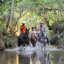 Tour llanos orientales desde medellin