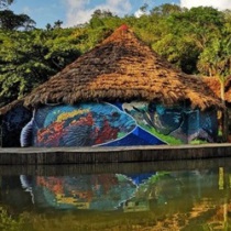 excursion llanos orientales desde medellin