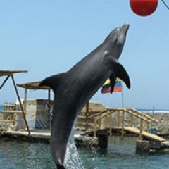 tour a santa marta todo incluido