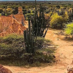 viaje al desierto de la tatacoa