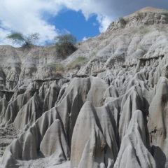 excursion al desierto de la tatacoa 2026