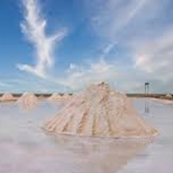 excursion a la guajira 2026