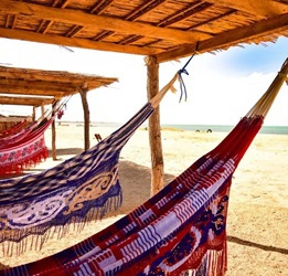 viaje a la guajira desde medellin