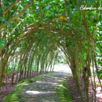 excursiones a santander desde medellin