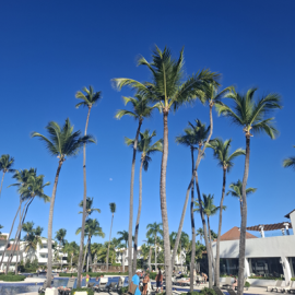 viajes a punta cana todo incluido