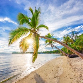 cuánto cuesta viajar a punta cana desde colombia