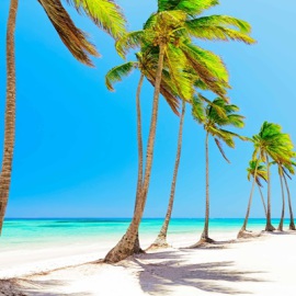 paquetes familiares a punta cana