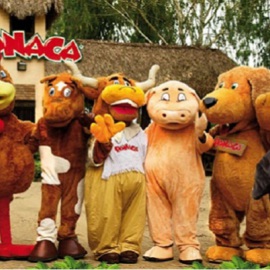 tour eje cafetero 2026