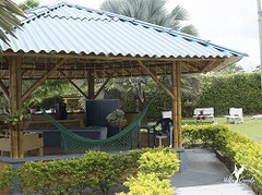 excursiones al eje cafetero desde medellin