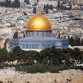 tour a tierra santa desde bogota colombia