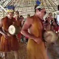 viajes al amazonas desde medellin