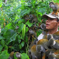 planes amazonas todo incluido