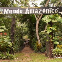 excursiones al amazonas