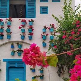 tour santorini desde medellin