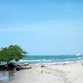 excursiones a coveñas 2026