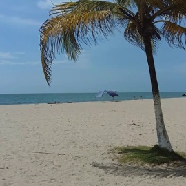 excursiones a coveñas desde Medellin