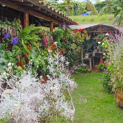 tour silleteros en santa elena