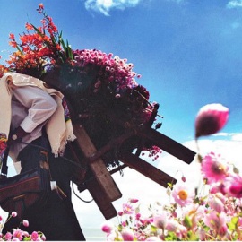 Tour silleteros feria de las flores