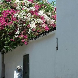 Tour santa fe de antioquia desde medellin